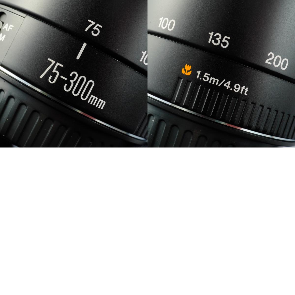 Canon EF 75-300mm F/4-5.6 II USM Zoomobjektiv