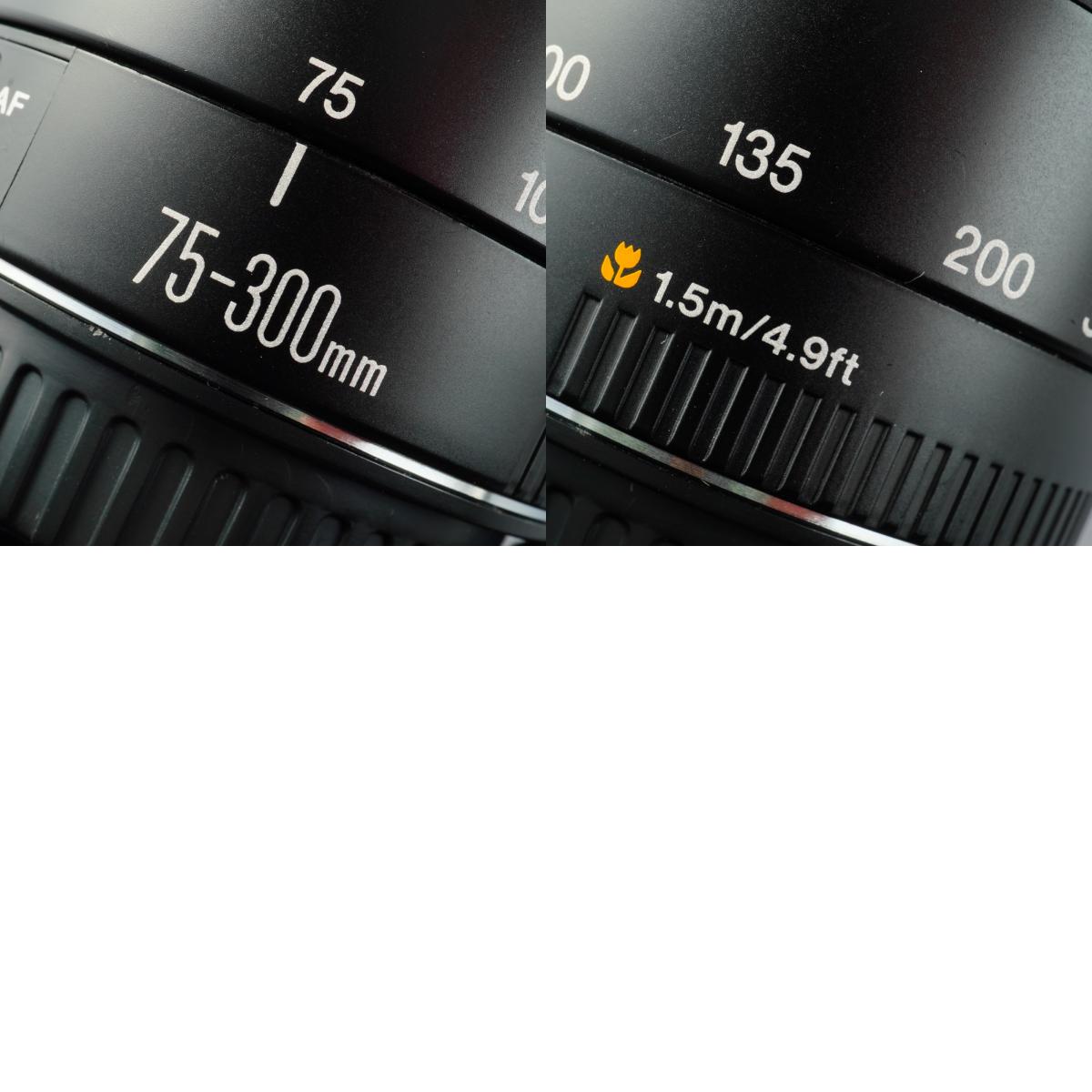 Canon EF 75-300mm F/4-5.6 II USM Zoomobjektiv