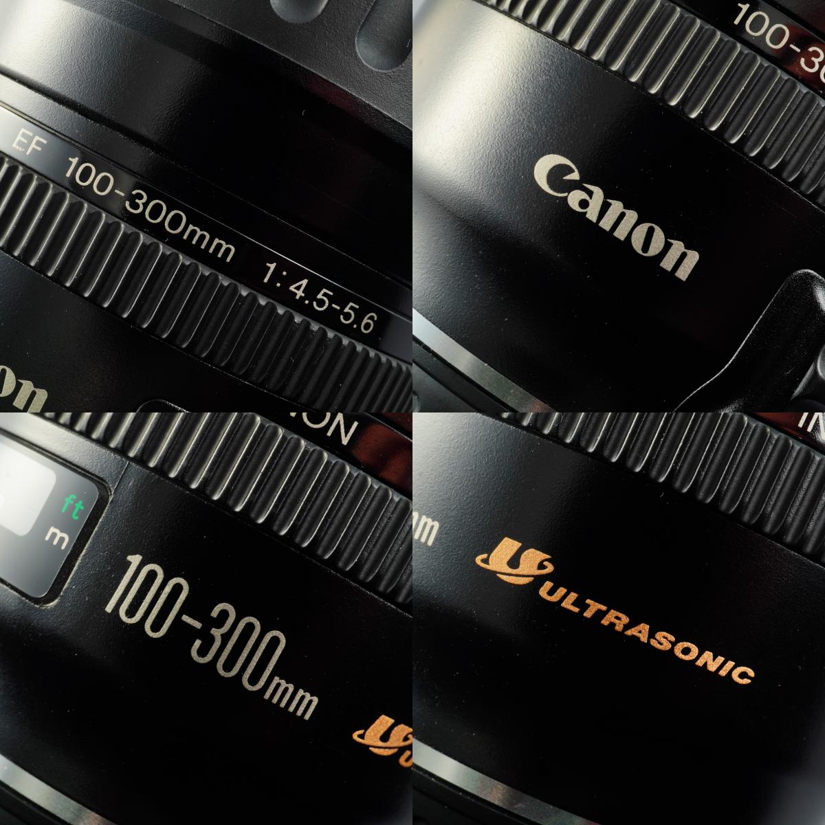 Canon EF 100-300mm F/4.5-5.6 USM Zoomobjektiv