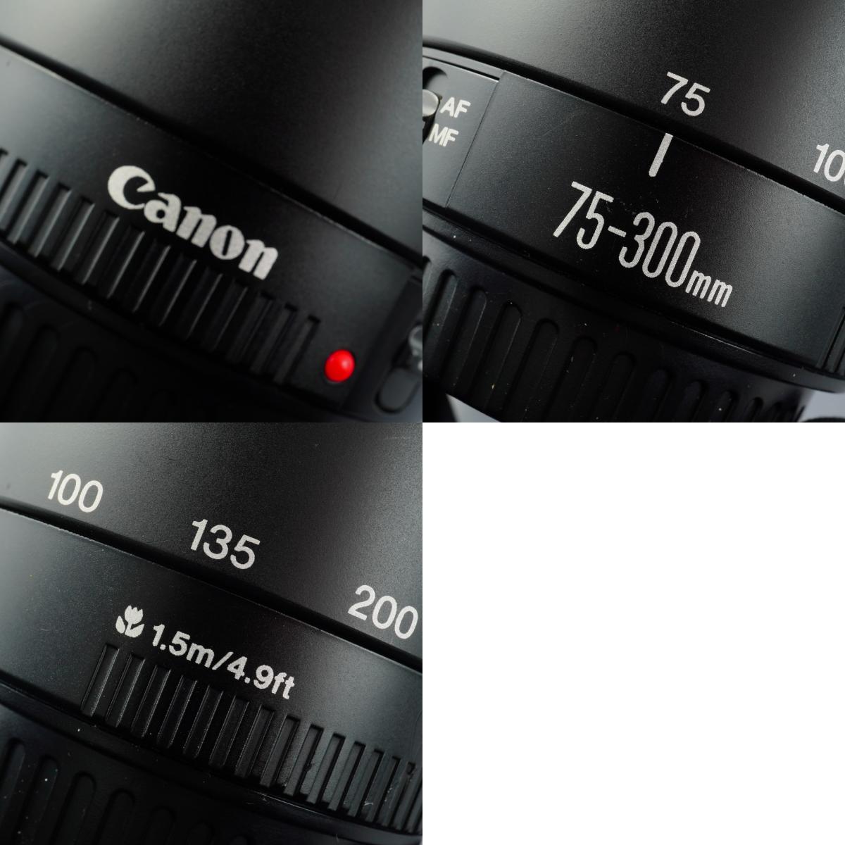 Canon EF 75-300mm F/4-5.6 III Zoom Lens