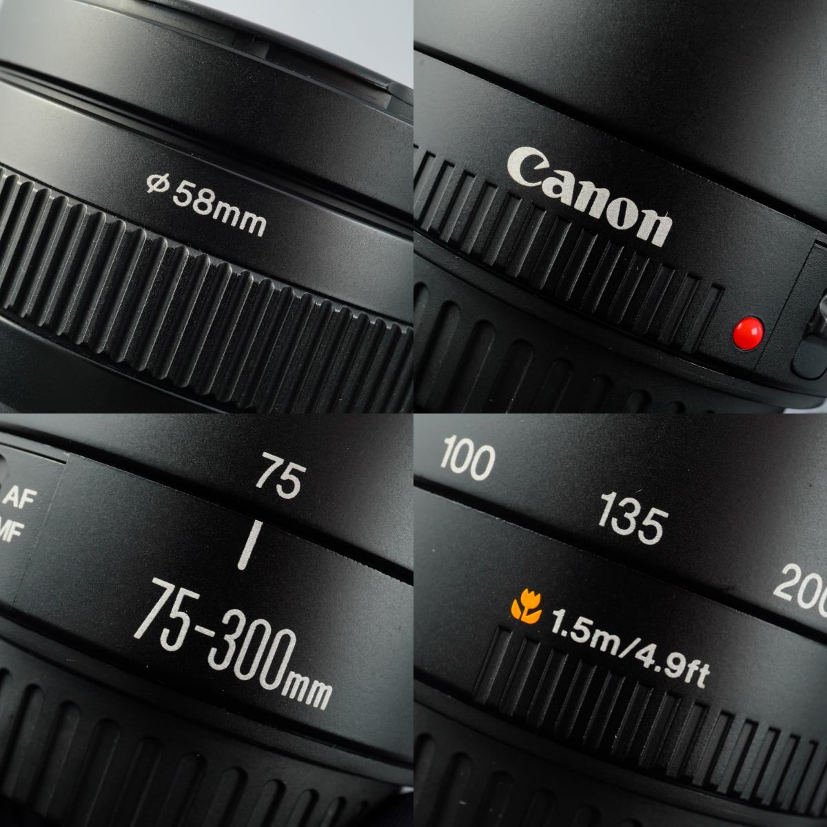 Canon EF 75-300mm F/4-5.6 II USM Zoomobjektiv