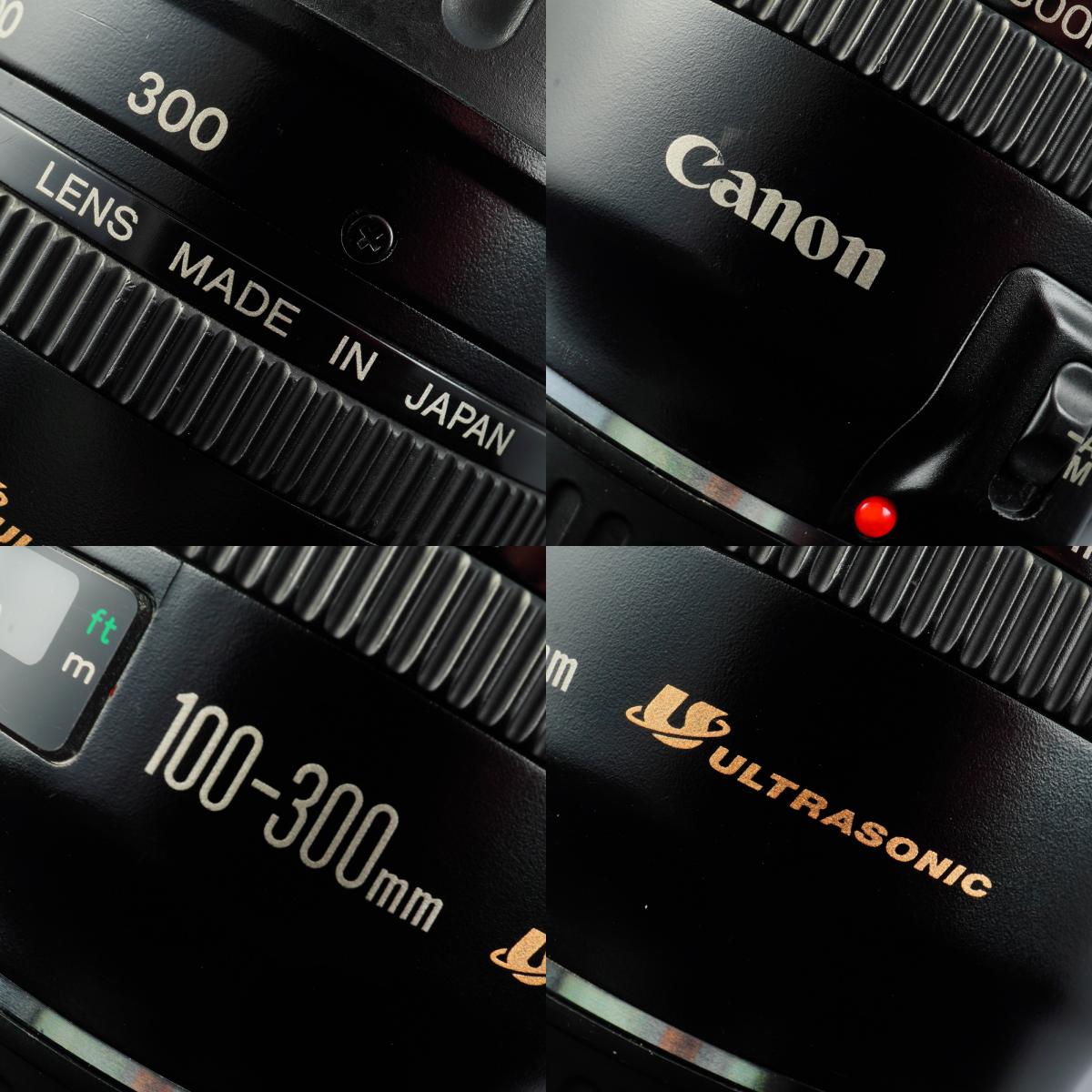 Canon EF 100-300mm F/4.5-5.6 USM Zoom Lens