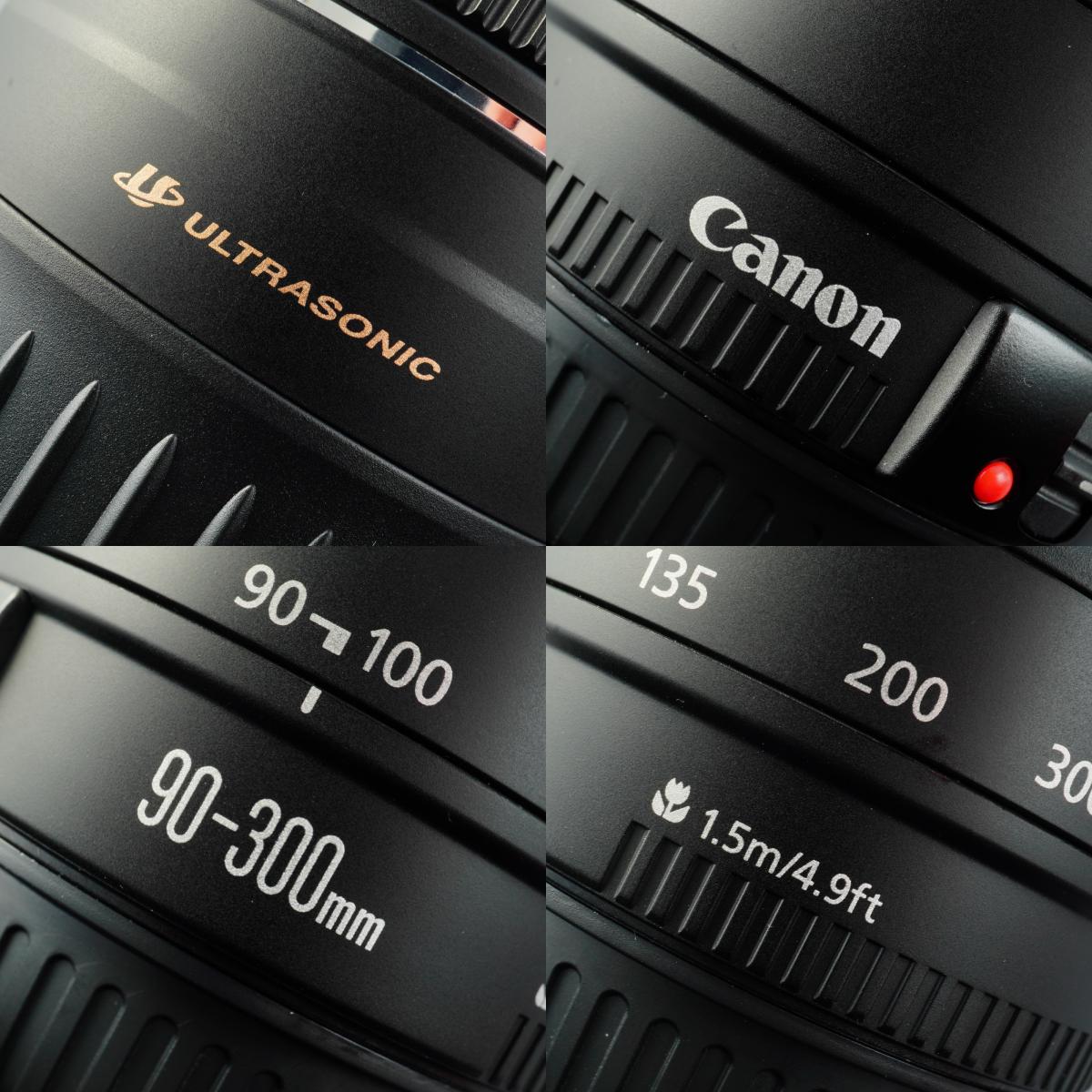 Canon EF 90-300mm F/4.5-5.6 USM ズームレンズ