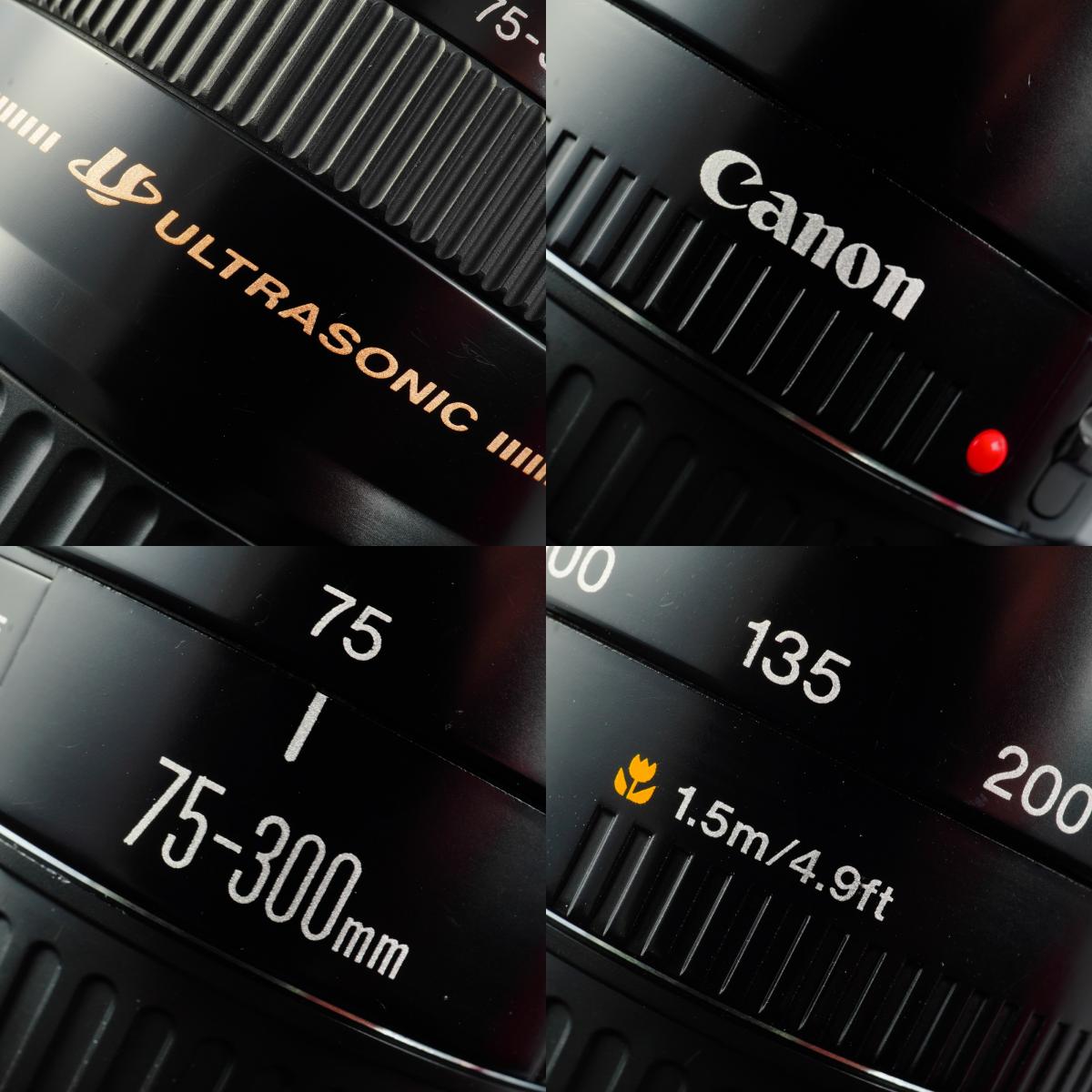 Canon EF 75-300mm F/4-5.6 Ⅱ ズームレンズ