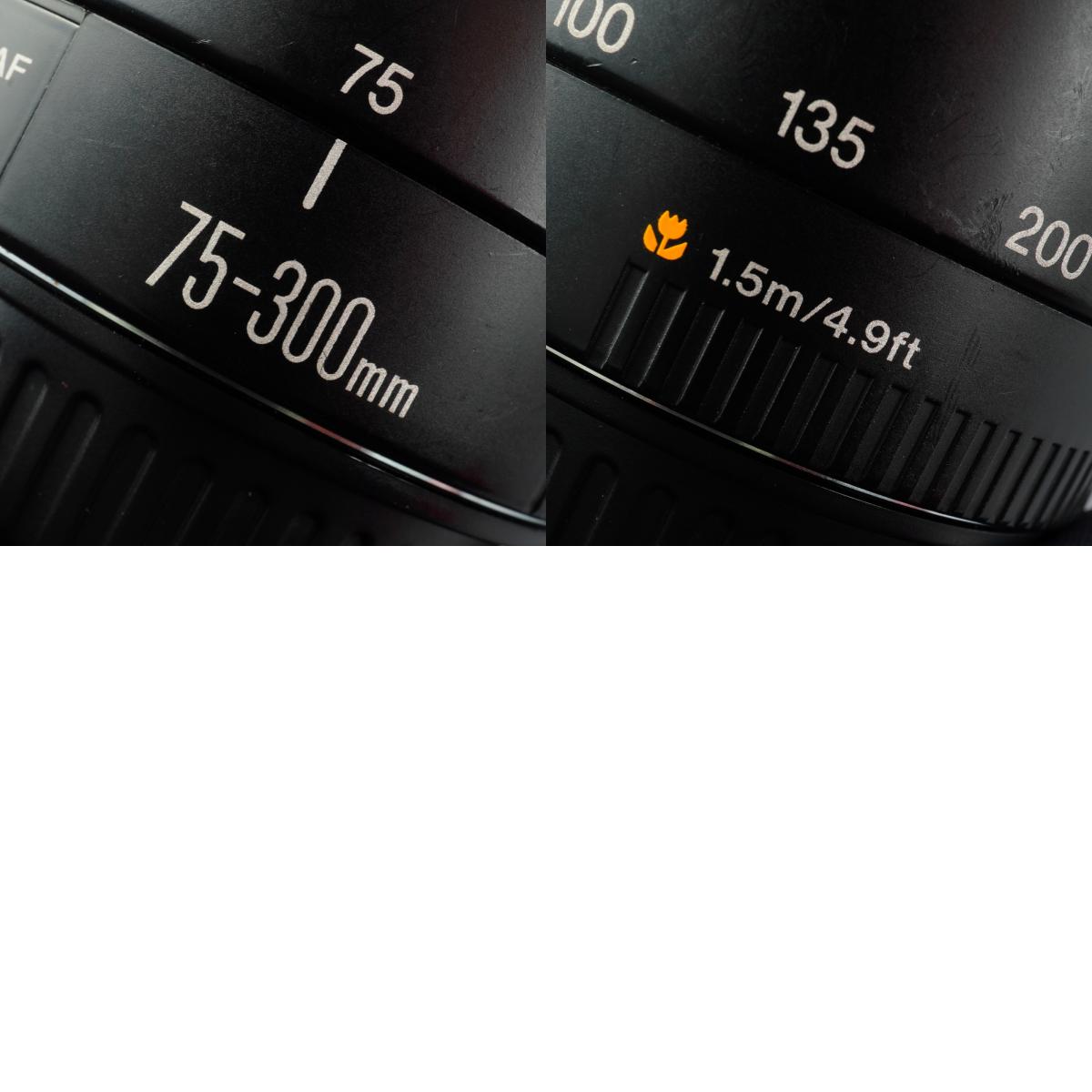 Canon EF 75-300mm F/4-5.6 Ⅱ ズームレンズ