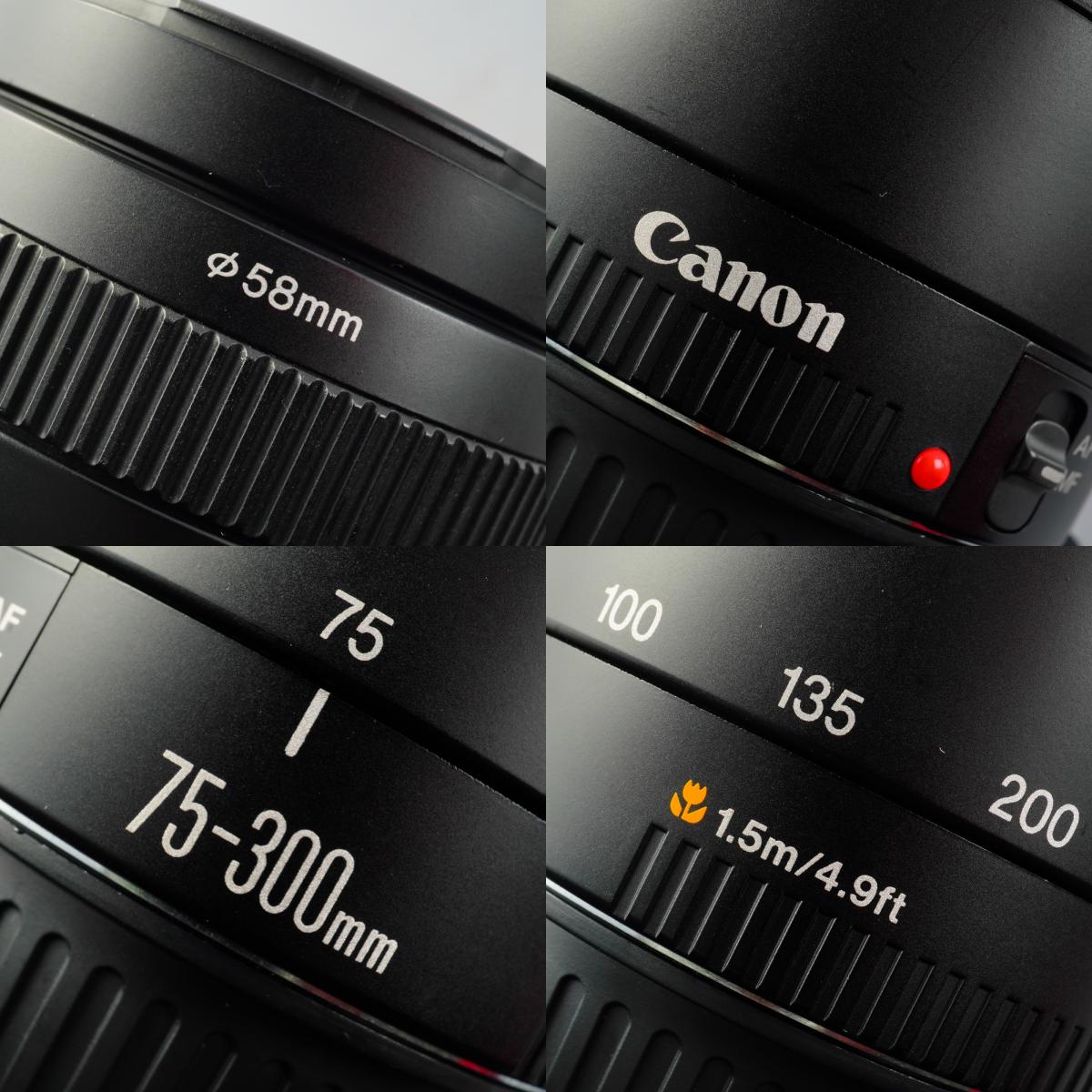 Canon EF 75-300mm F/4-5.6 Ⅱ ズームレンズ