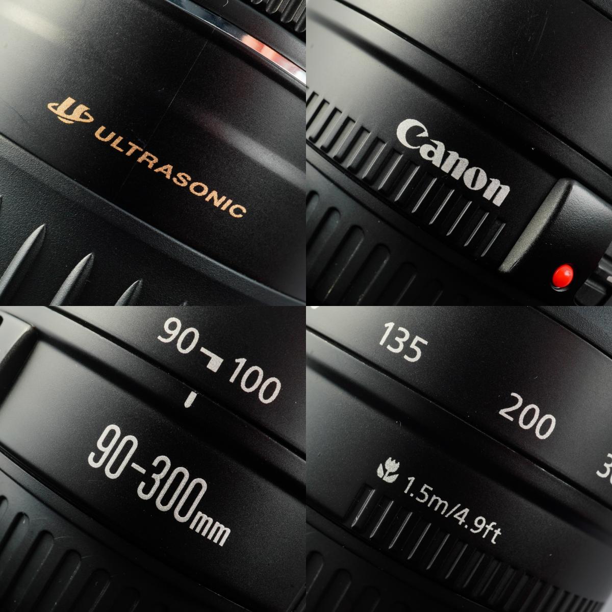 Canon EF 90-300mm F/4.5-5.6 USM ズームレンズ