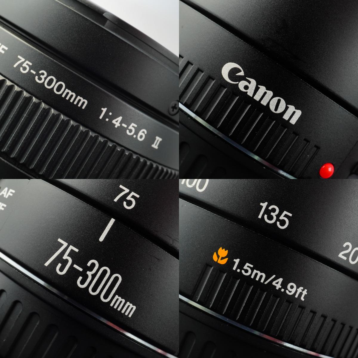 Canon EF 75-300mm F/4-5.6 Ⅱ ズームレンズ