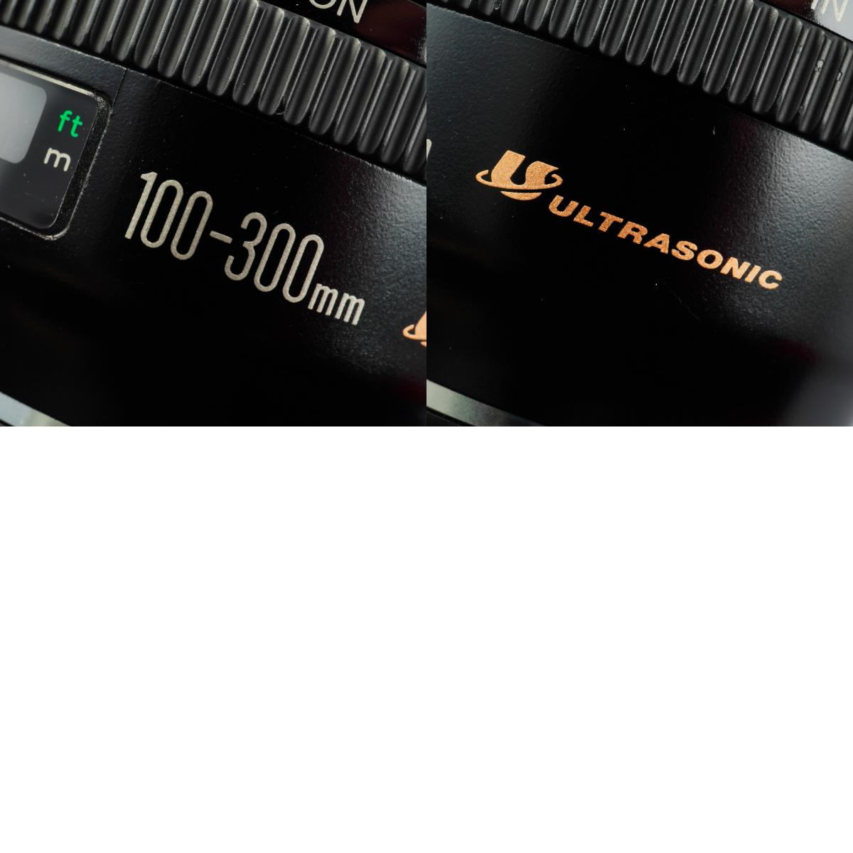 Canon EF 100-300mm F/4.5-5.6 USM ズームレンズ