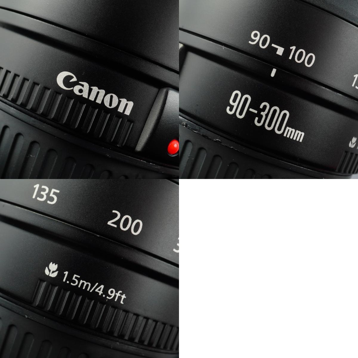 Canon EF 90-300mm F/4.5-5.6 USM ズームレンズ