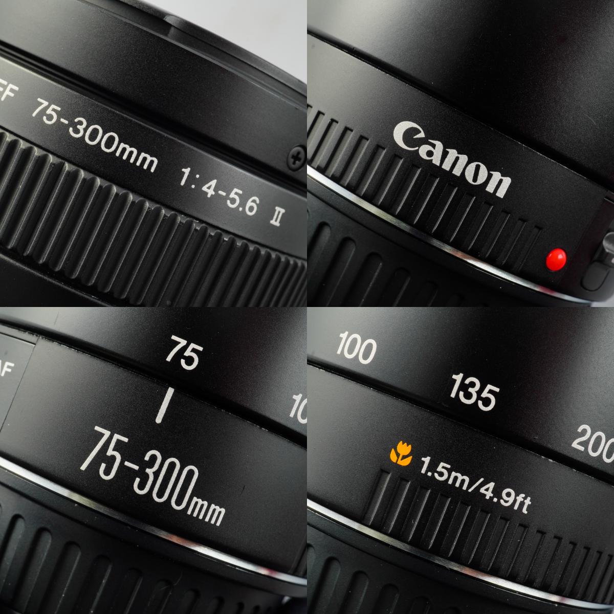 Canon EF 75-300mm F/4-5.6 Ⅱ ズームレンズ