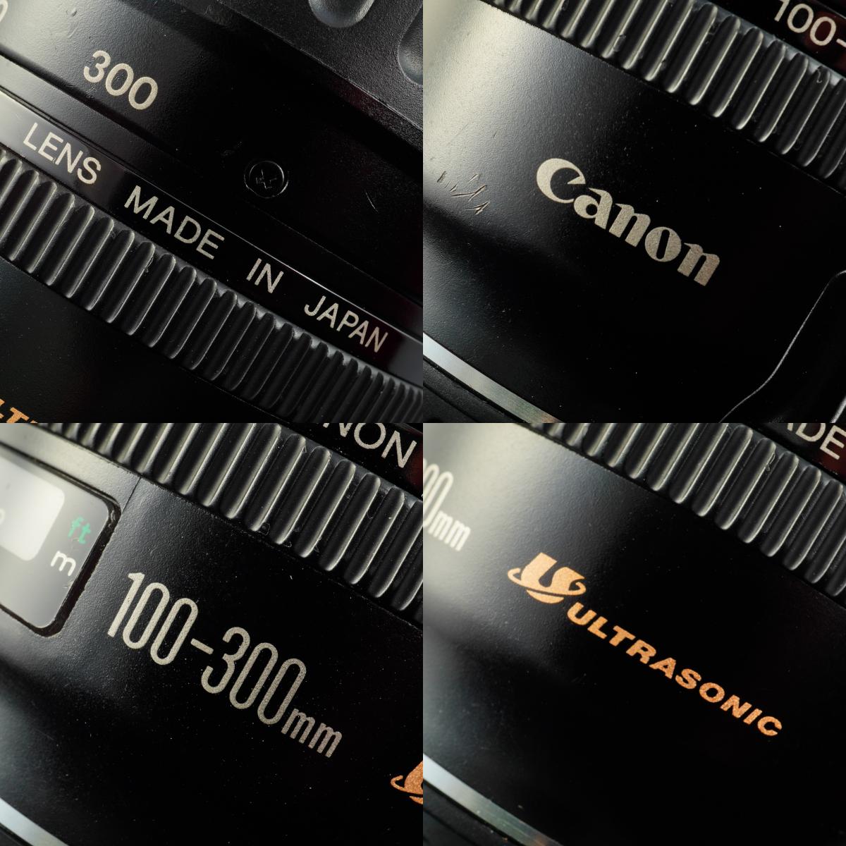 Canon EF 100-300mm F/4.5-5.6 USM ズームレンズ
