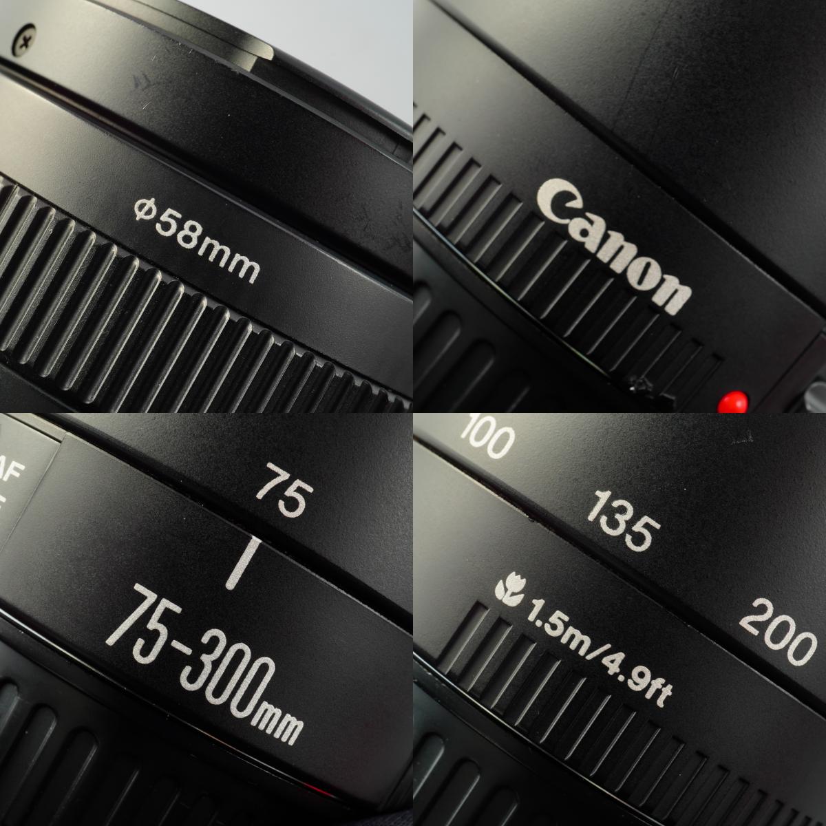 Canon EF 75-300mm F/4-5.6 Ⅲ USM ズームレンズ