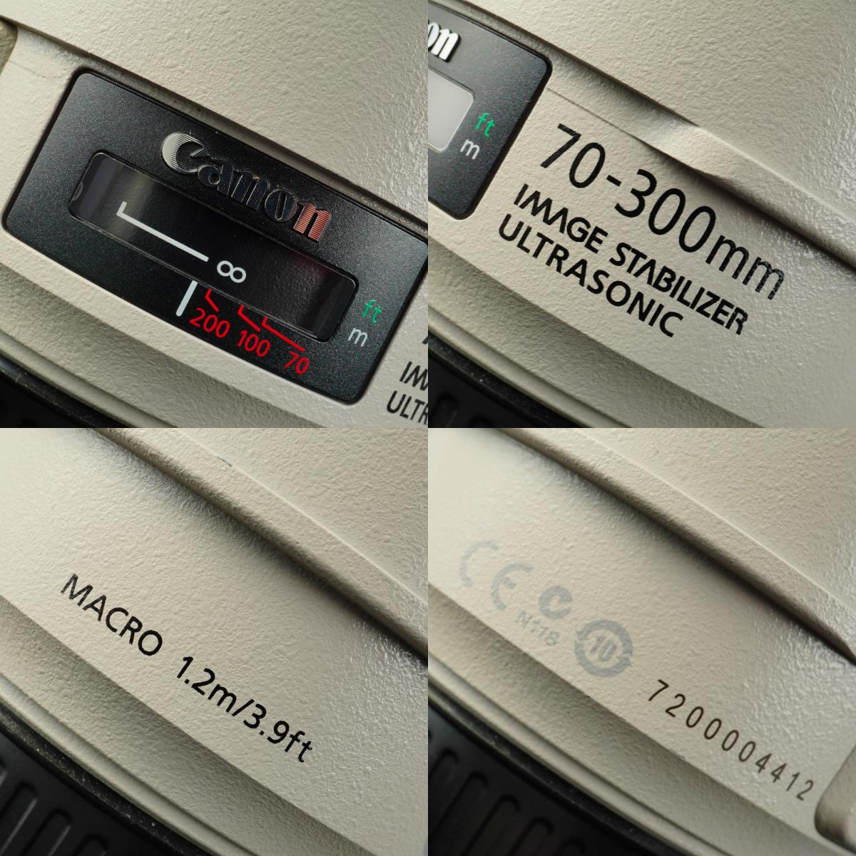 Canon EF 70-300mm F/4-5.6 L IS USM ズームレンズ