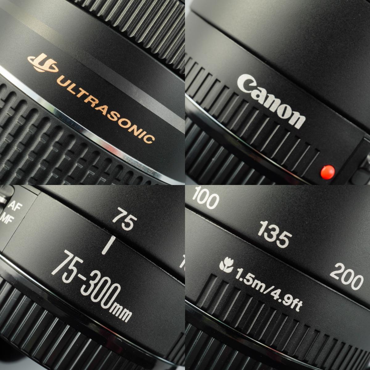 Canon EF 75-300mm F/4-5.6 Ⅲ USM ズームレンズ