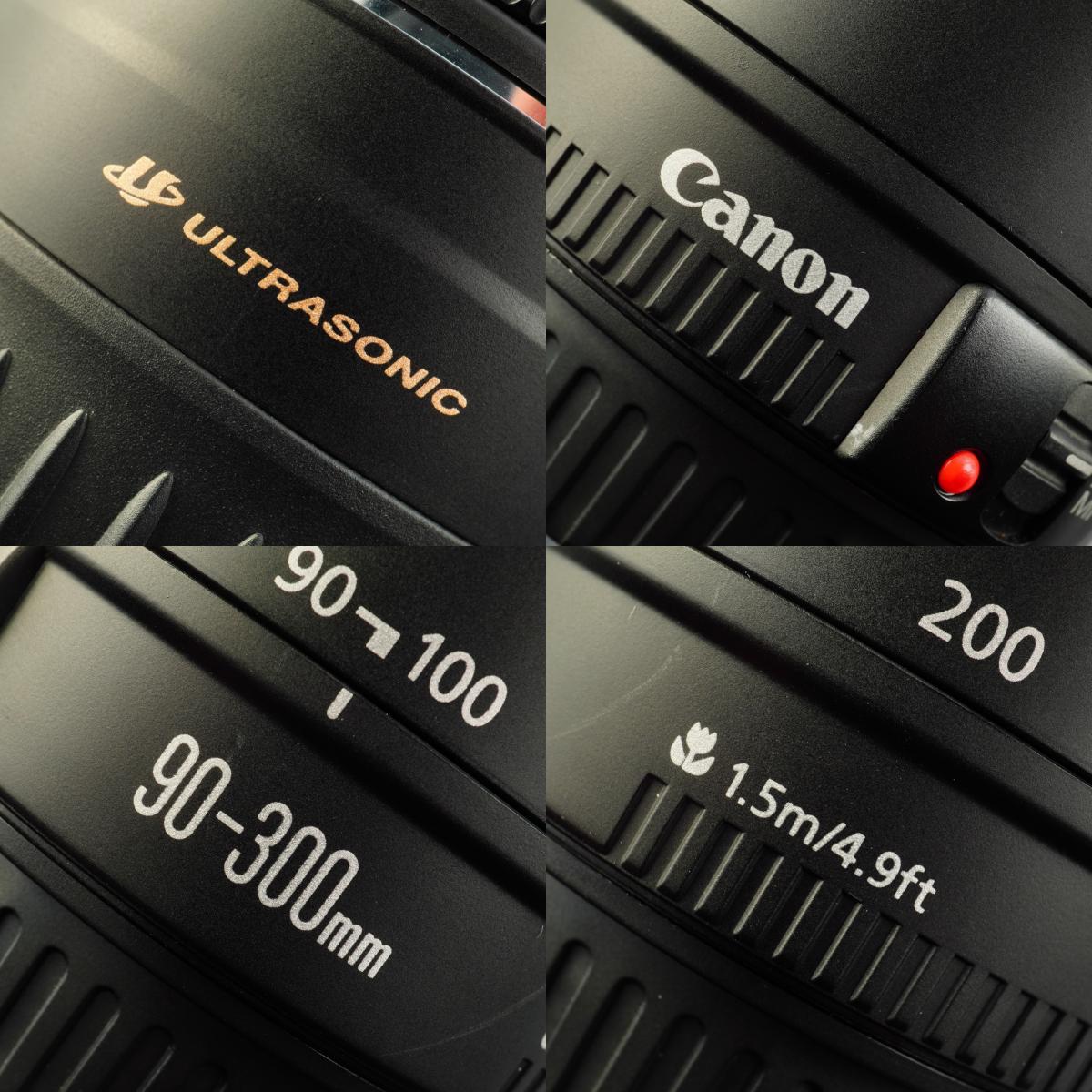Canon EF 90-300mm F/4.5-5.6 USM ズームレンズ