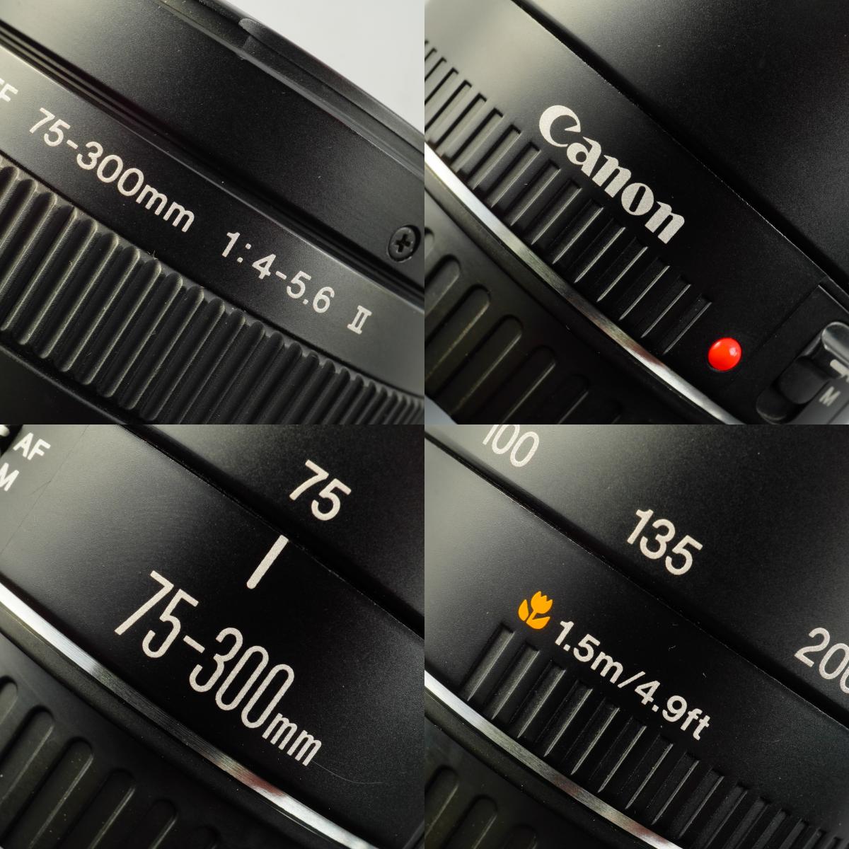 Canon EF 75-300mm F/4-5.6 Ⅱ ズームレンズ