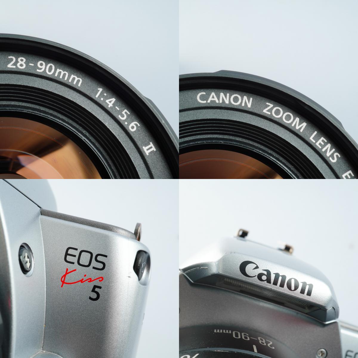 Canon EOS kiss 5 (Rebel Ti) + EF 28-90mm F/4-5.6 Ⅱ + 420EX AF フィルム一眼レフカメラ