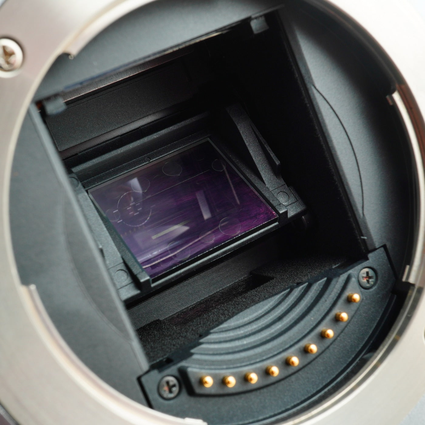 OLYMPUS E-500 8.0MP CCD for Four Thirds デジタル一眼レフカメラ