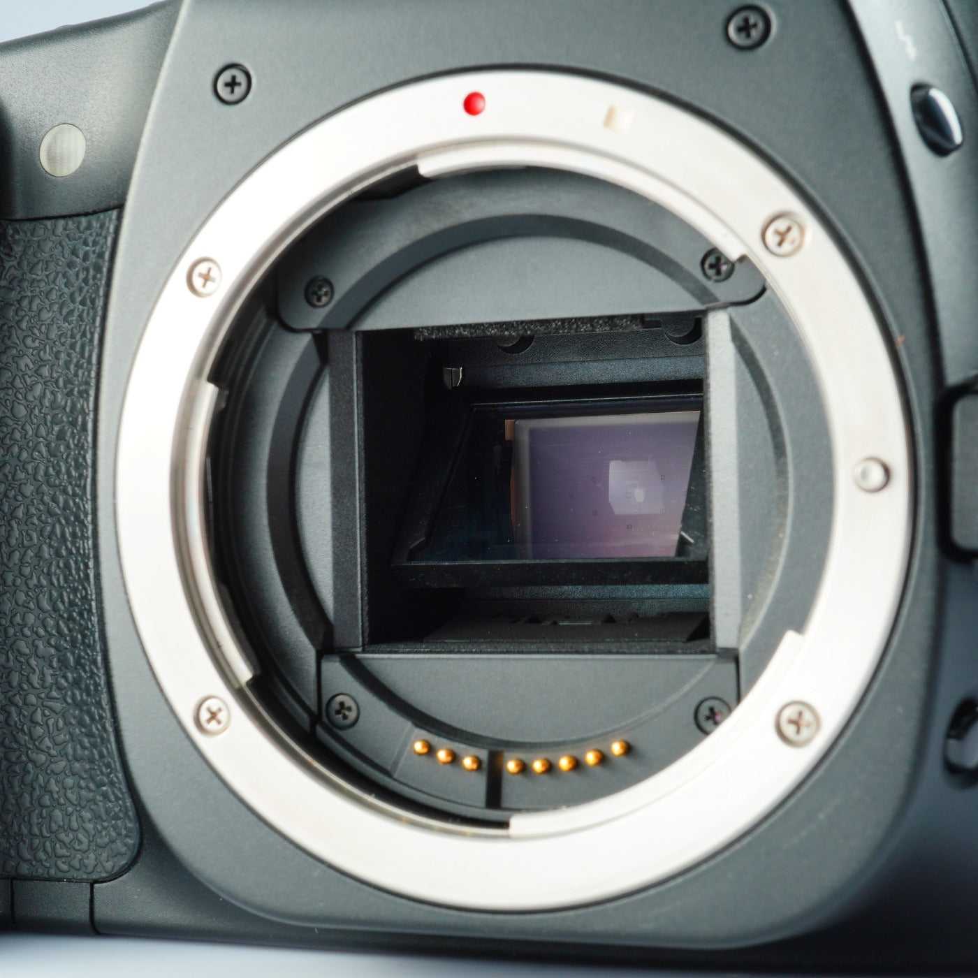 Canon EOS 30D + EF-S 18-55mm F/3.5-5.6 USM + CF 2GB デジタル一眼レフカメラ