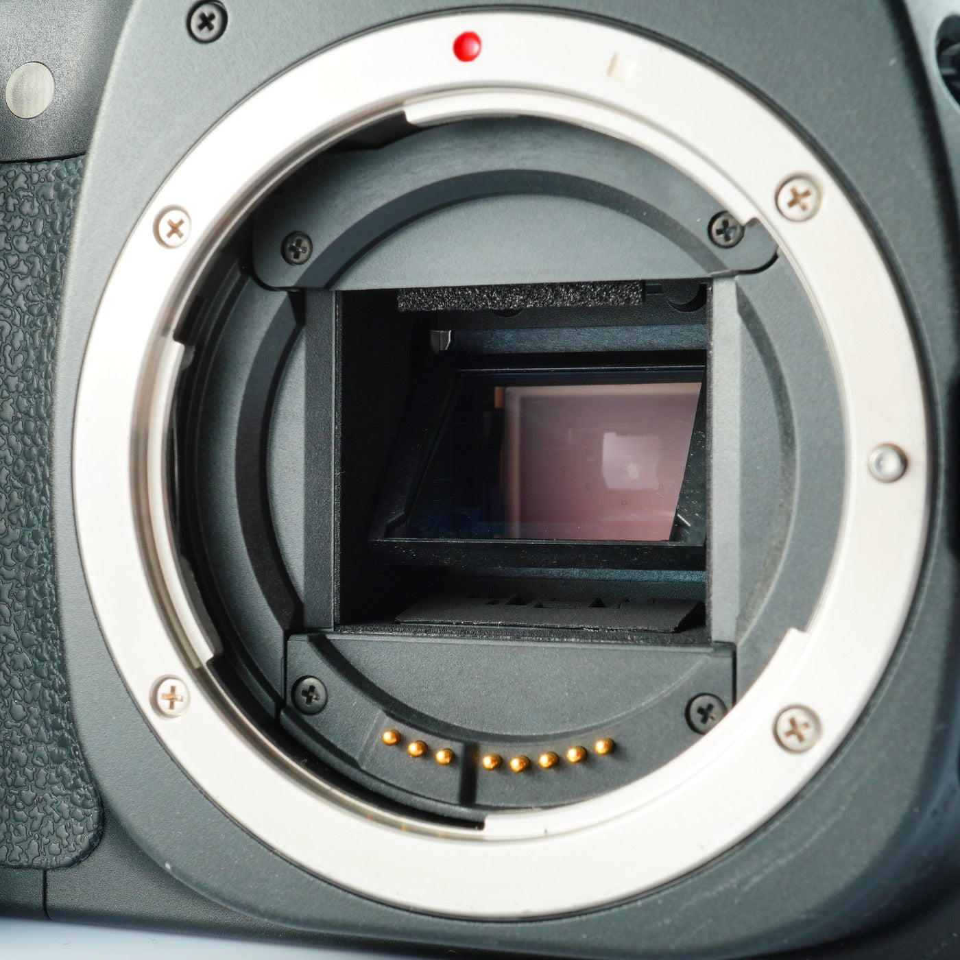 Canon EOS 20D + EF-S 18-55mm F/3.5-5.6 IS + CF 1GB デジタル一眼レフカメラ