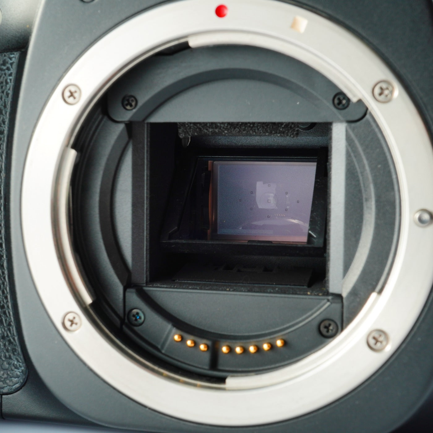 Canon EOS 30D + EF-S 18-55mm F/3.5-5.6 USM デジタル一眼レフカメラ