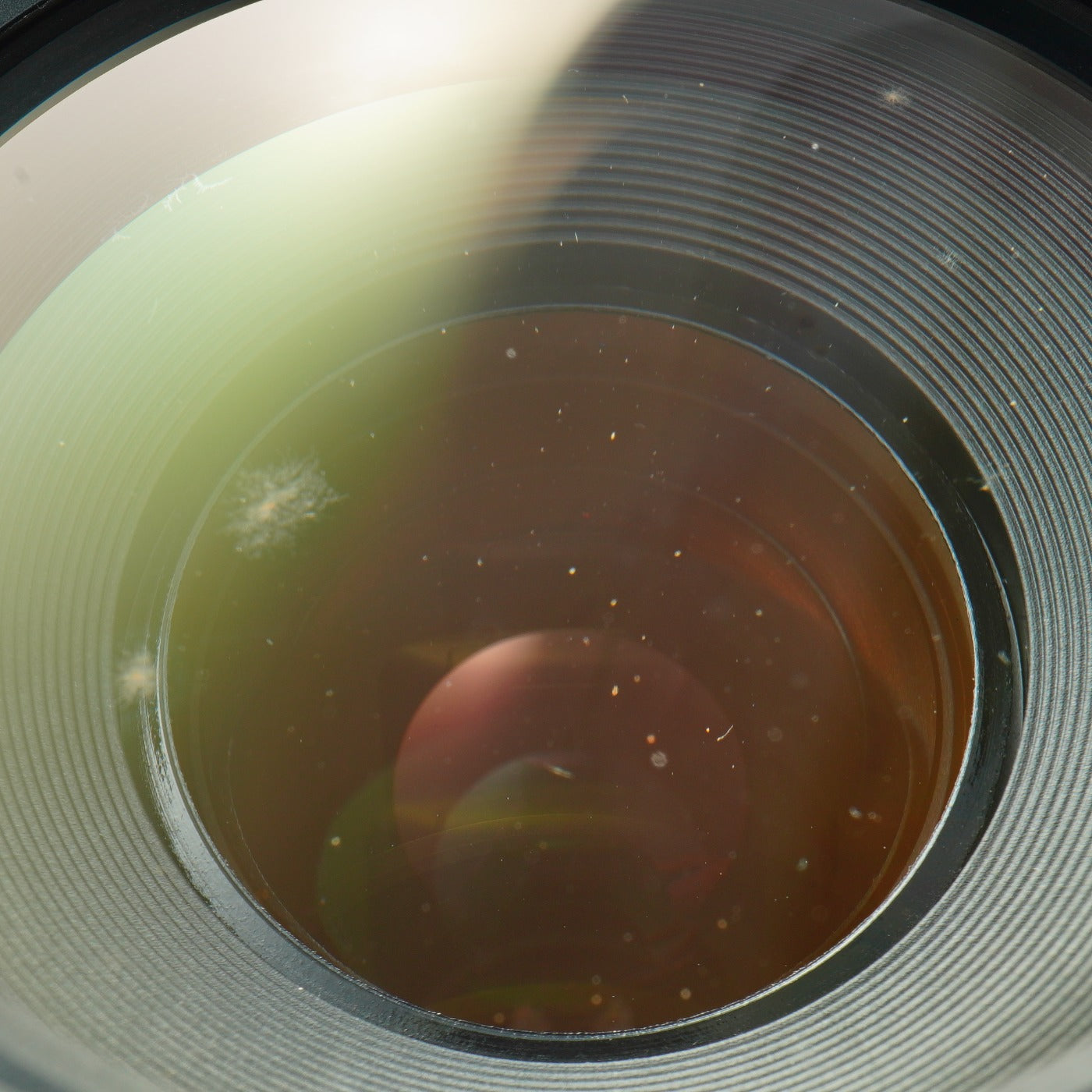 Canon EF 75-300mm F/4-5.6 Ⅱ  ズームレンズ