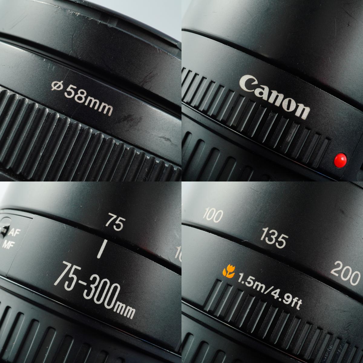 Canon EF 75-300mm F/4-5.6 Ⅱ  ズームレンズ