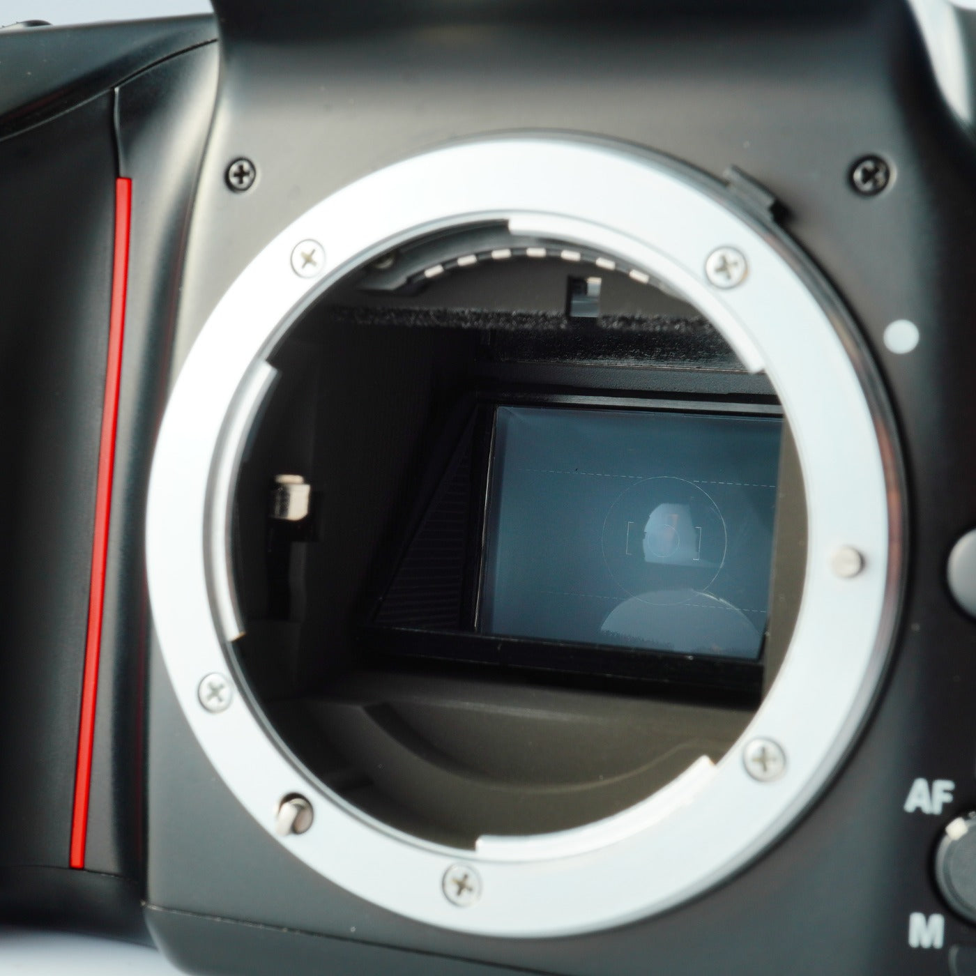 Nikon F70 (N70) + AF NIKKOR 28-70mm F/3.5-4.5 D AF フィルム一眼レフカメラ
