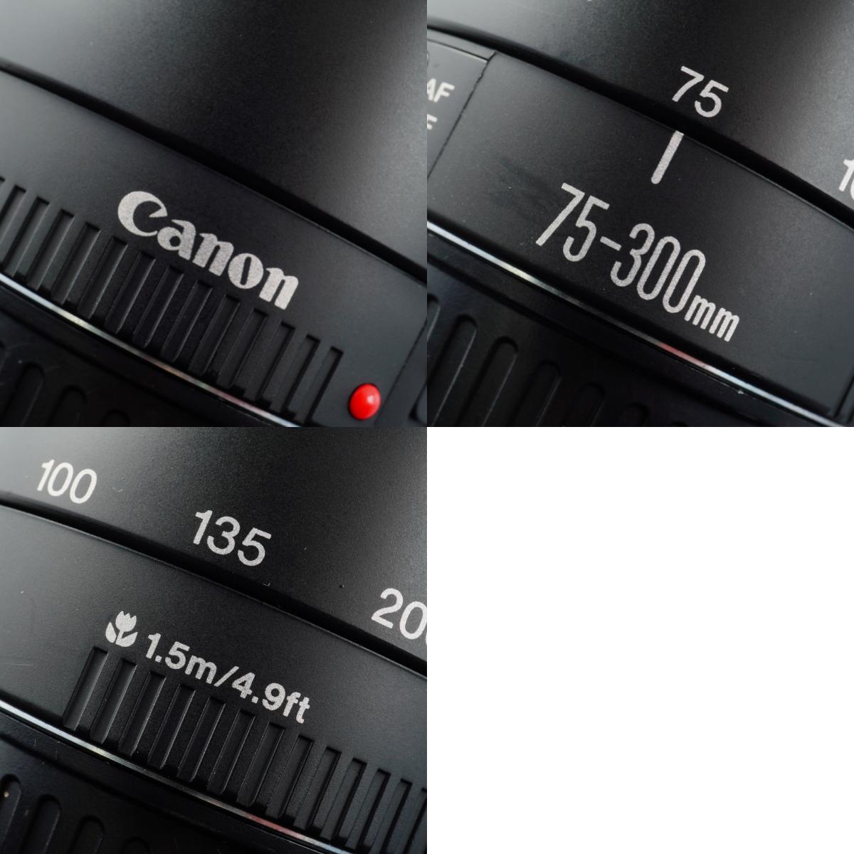 Canon EF 75-300mm F/4-5.6 Ⅲ  ズームレンズ