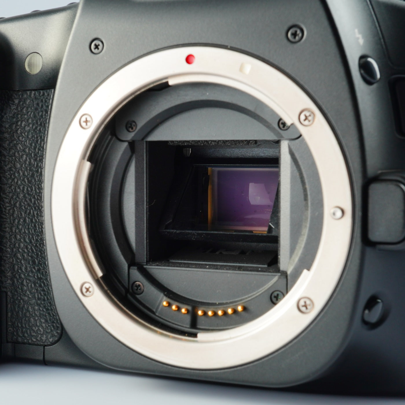 Canon EOS 30D + EF-S 18-55mm F/3.5-5.6 IS Ⅱ + CF 1GB デジタル一眼レフカメラ