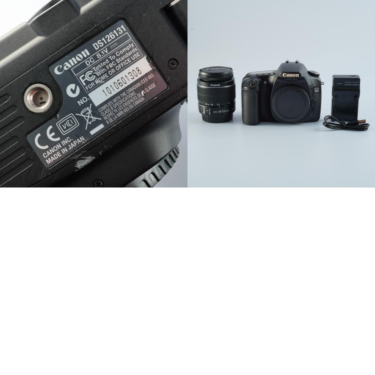 Canon EOS 30D + EF-S 18-55mm F/3.5-5.6 IS Ⅱ + CF 1GB デジタル一眼レフカメラ