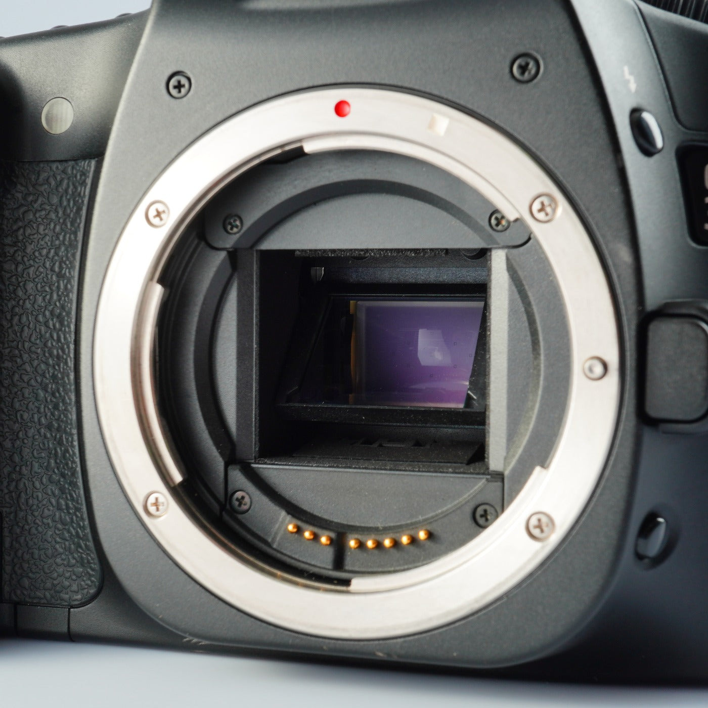 Canon EOS 30D + EF-S 18-55mm F/3.5-5.6 IS Ⅱ デジタル一眼レフカメラ