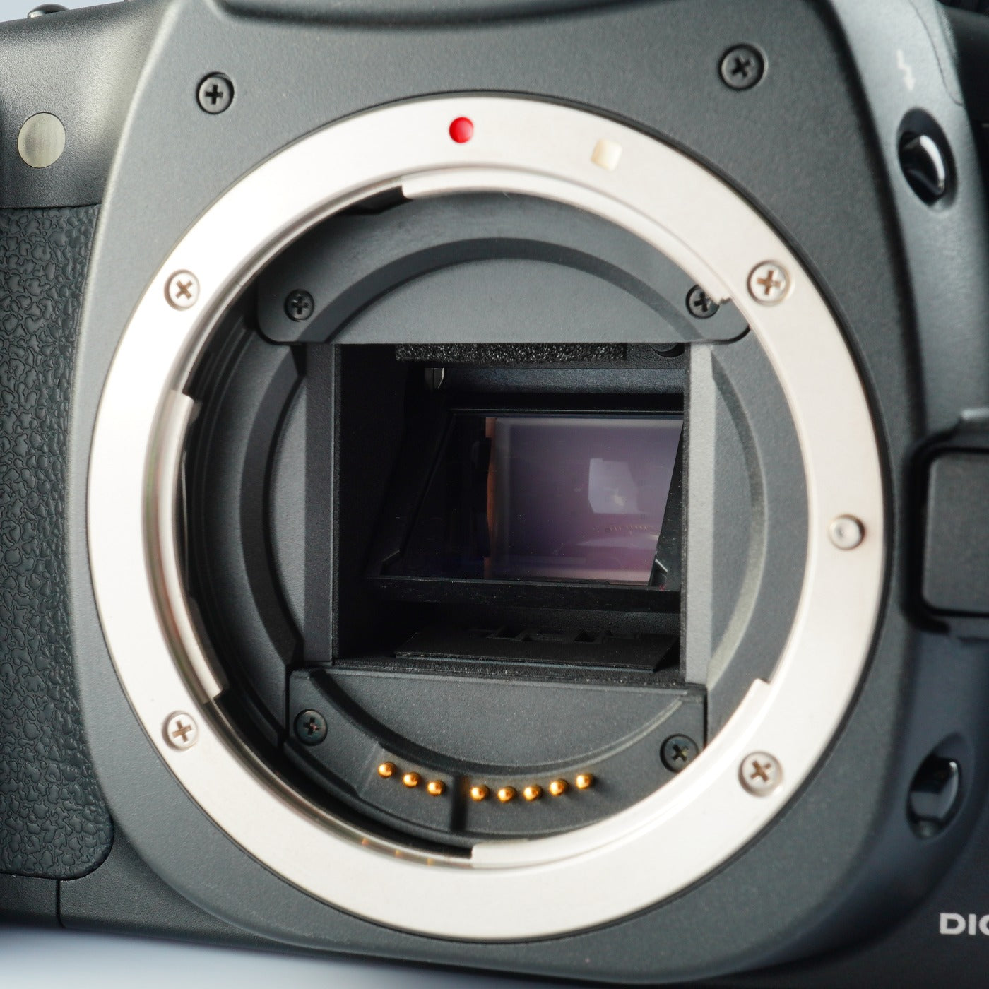 Canon EOS 20D + EF-S 18-55mm F/3.5-5.6 IS Ⅱ デジタル一眼レフカメラ