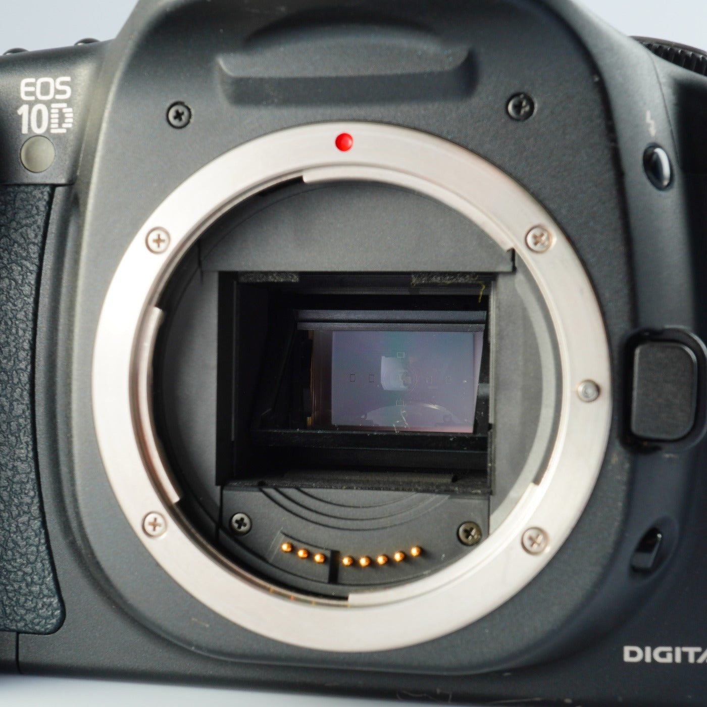 Canon EOS 10D ＋ EF 28-80mm F/3.5-5.6 Ⅳ デジタル一眼レフカメラ