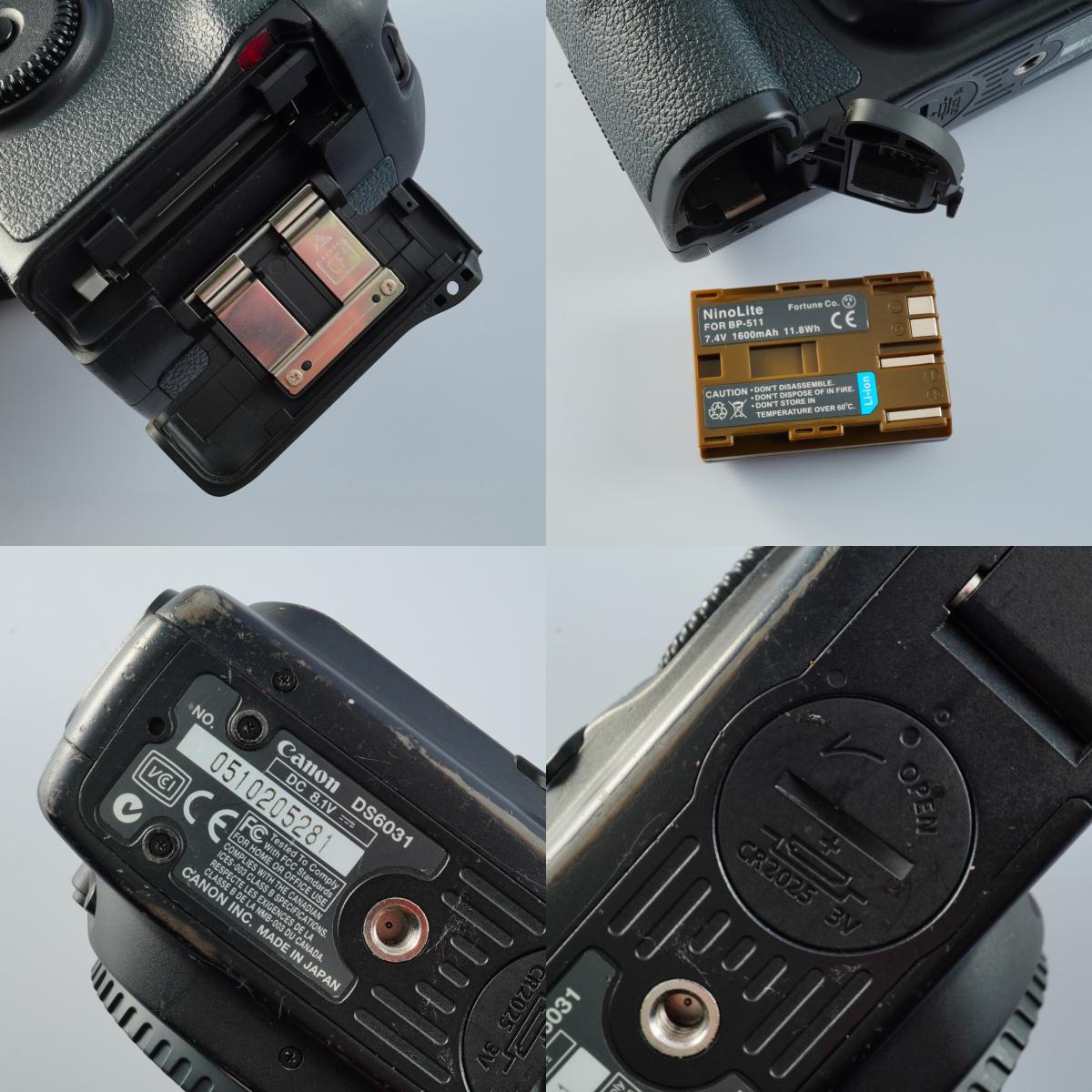 Canon EOS 10D ＋ EF 28-80mm F/3.5-5.6 Ⅳ デジタル一眼レフカメラ