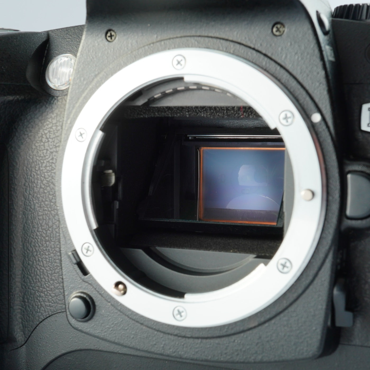 Nikon D70 + AF-S DX NIKKOR 18-55mm F/3.5-5.6 G VR デジタル一眼レフカメラ