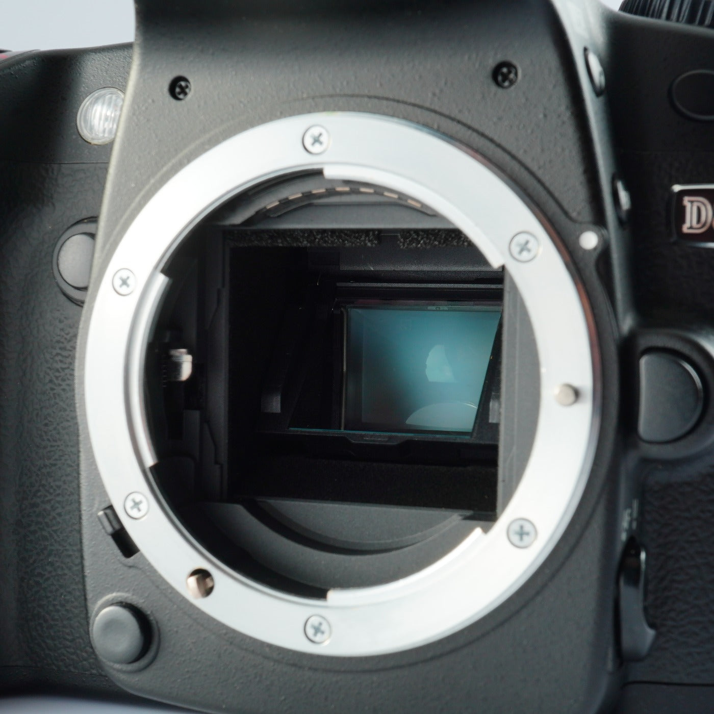 Nikon D80 + AF-S DX NIKKOR 18-55mm F/3.5-5.6 G VR デジタル一眼レフカメラ