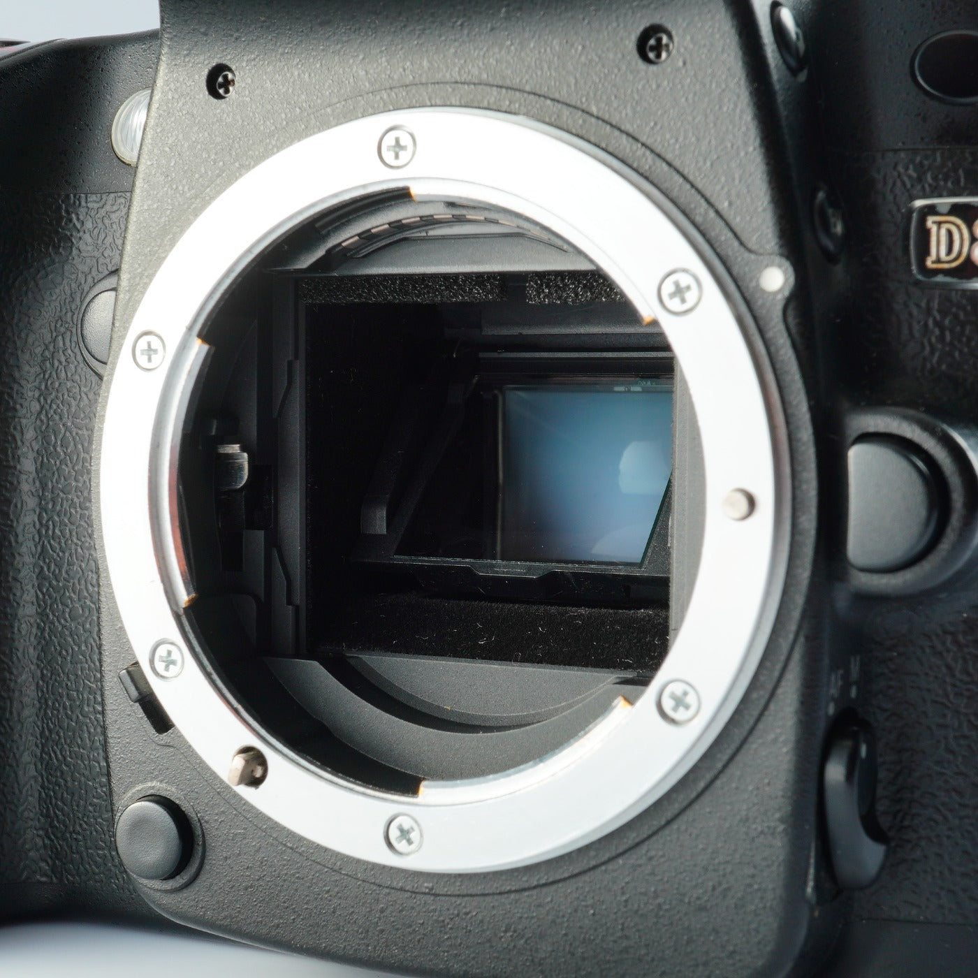 Nikon D80 + AF-S DX NIKKOR 18-55mm F/3.5-5.6 G VR デジタル一眼レフカメラ