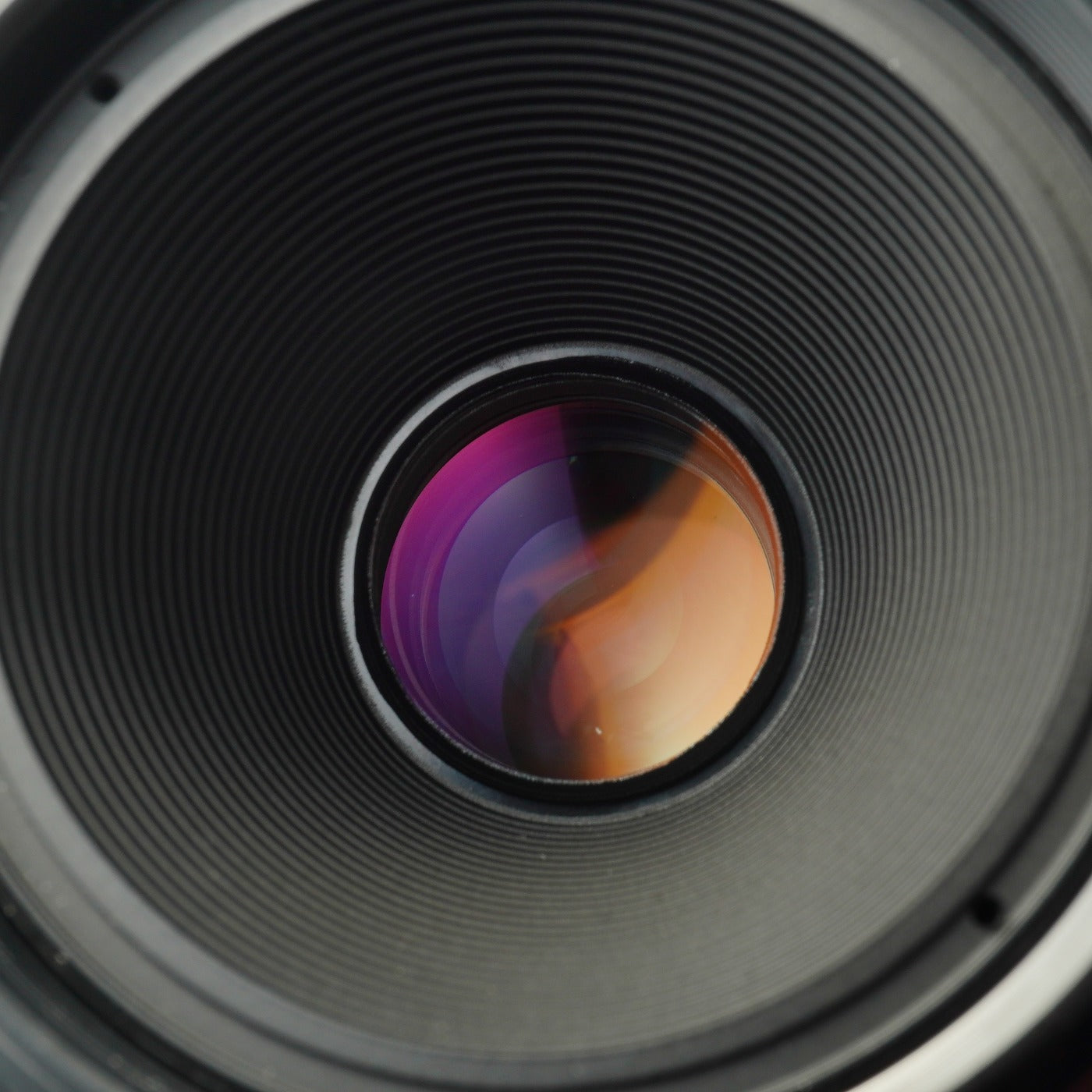 Canon EF 50mm F/2.5 COMPACT-MACRO  マクロレンズ