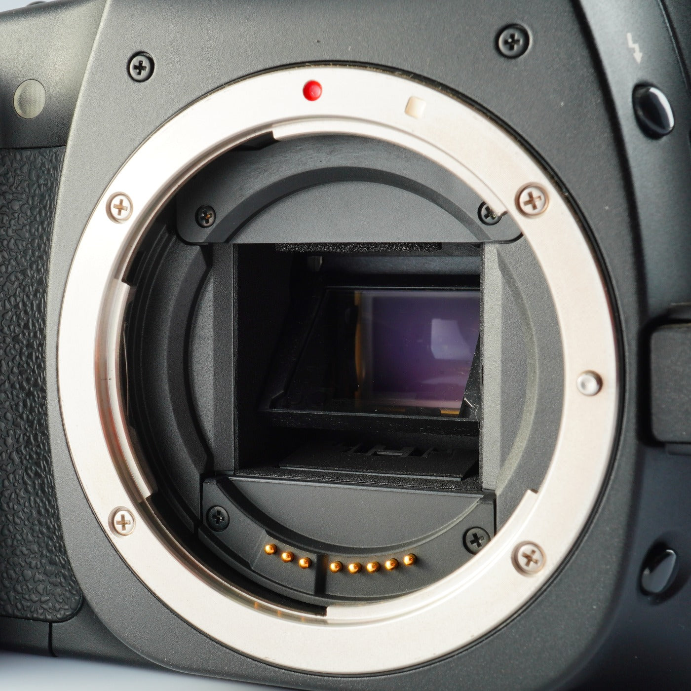 Canon EOS 30D + EF-S 18-55mm F/3.5-5.6 IS + CF 1GB デジタル一眼レフカメラ