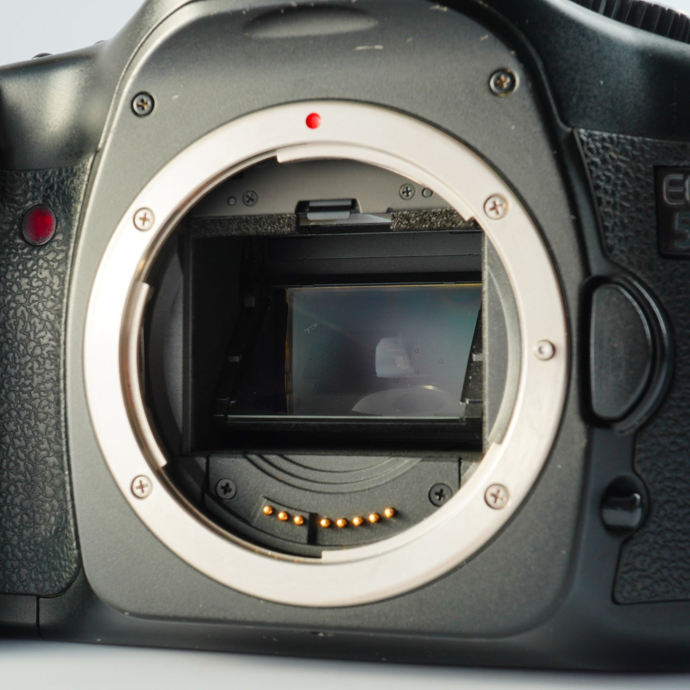 Canon EOS 5D + EF 35-135mm F/4-5.6 USM + EP-EX15 + CF 8GB Digitale Spiegelreflexkamera