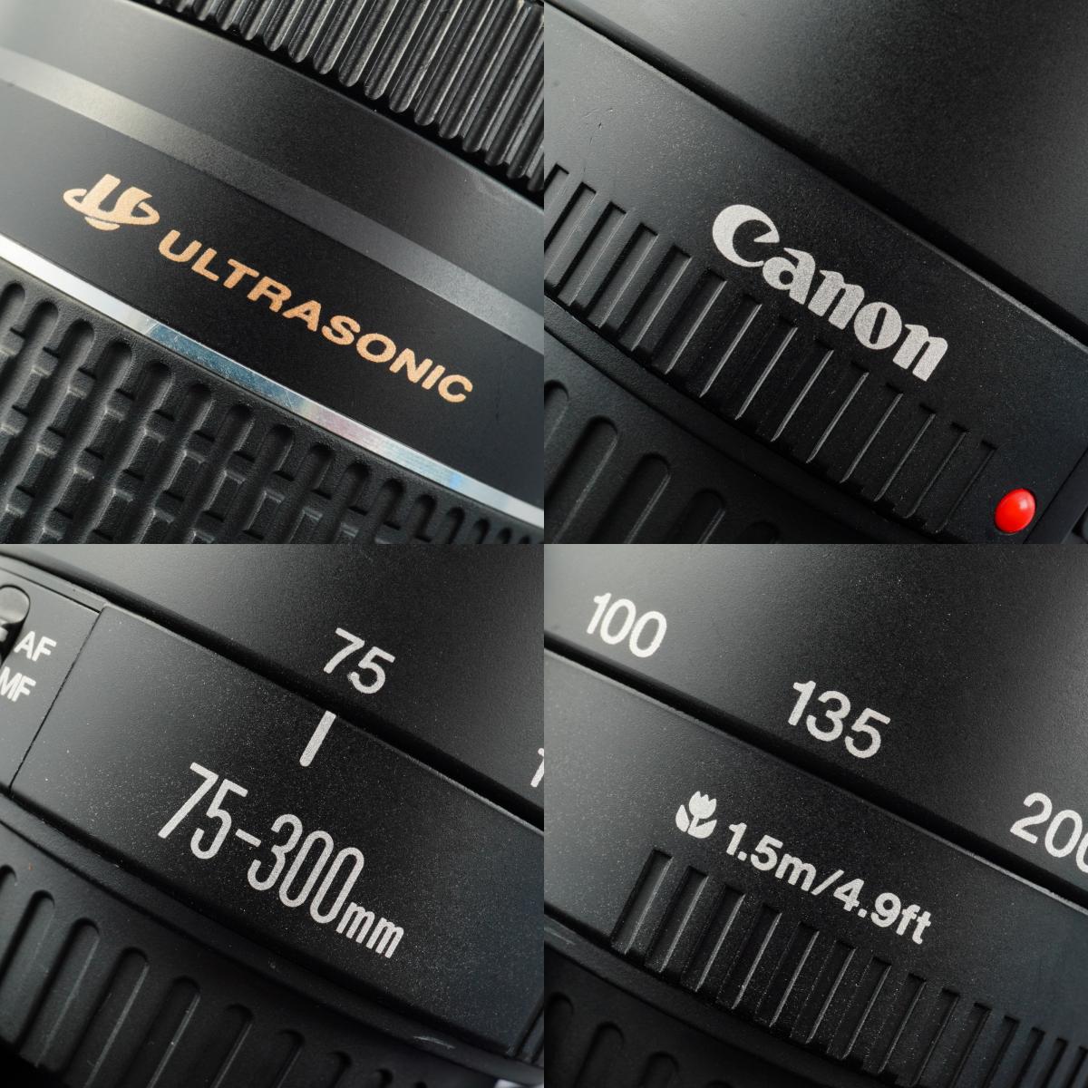 Canon EF 75-300mm F/4-5.6 Ⅲ USM  ズームレンズ