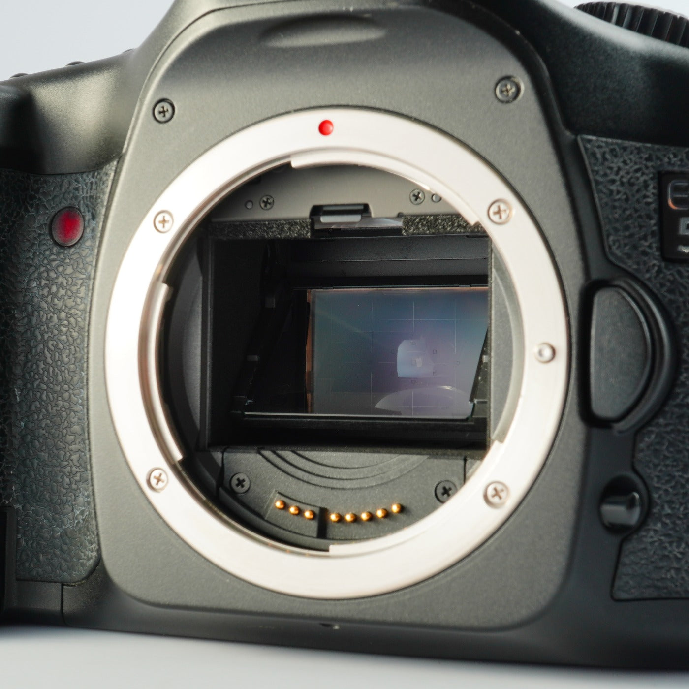 Canon EOS 5D + 28-80mm F/3.5-5.6 Ⅳ USM デジタル一眼レフカメラ