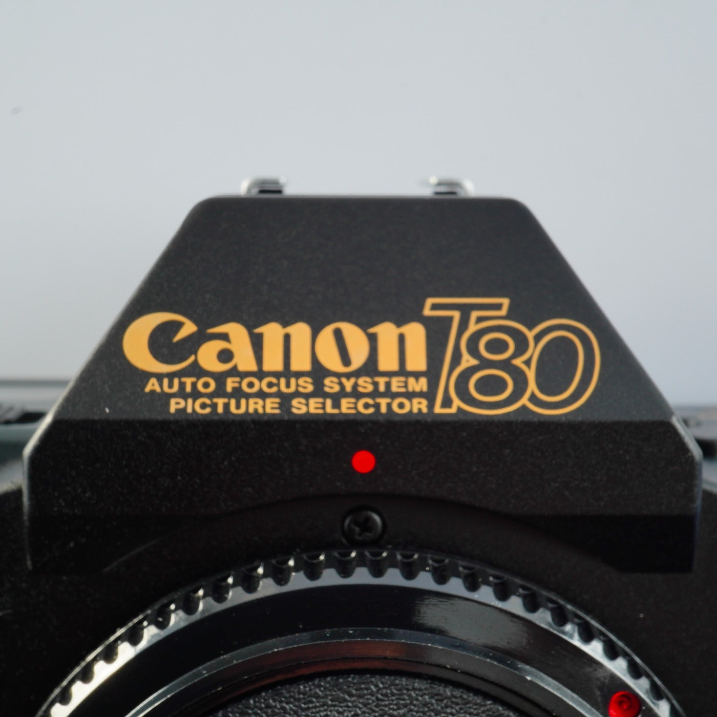 Canon T80 + Canon FD 50mm F/1.8 + SPEEDLITE 277T MF フィルム一眼レフカメラ