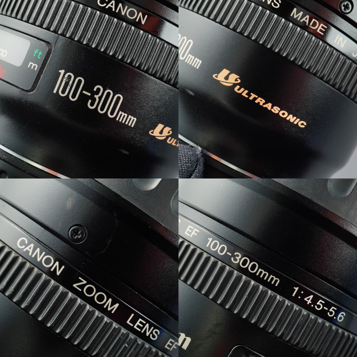 Canon EF 100-300mm F/4.5-5.6 USM ズームレンズ