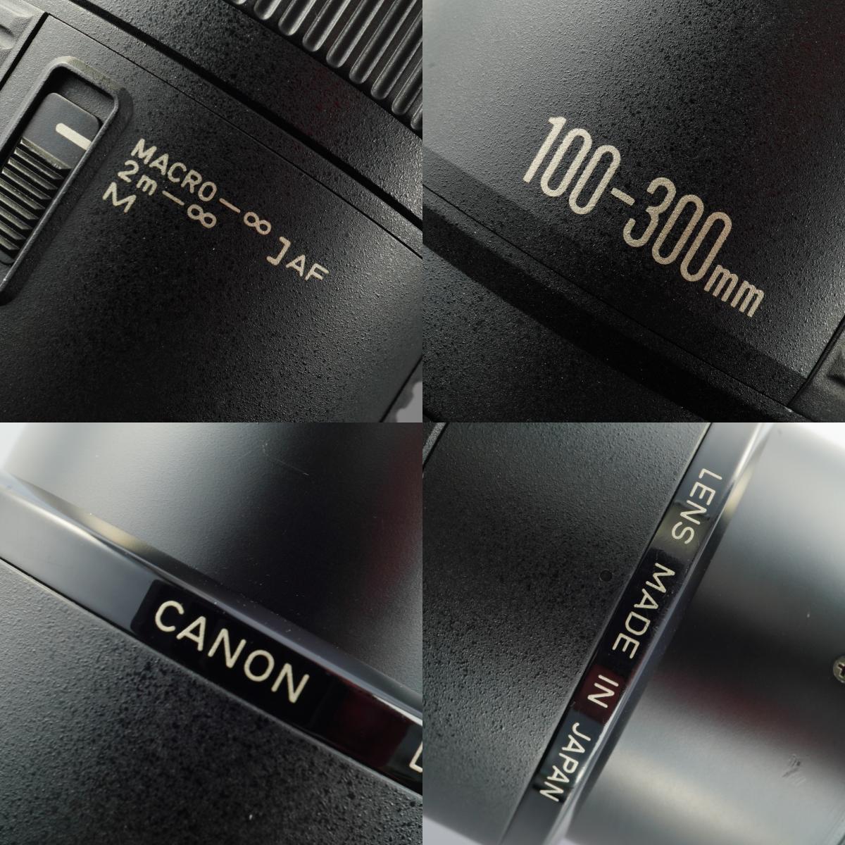 Canon EF 100-300mm F/5.6 ズームレンズ