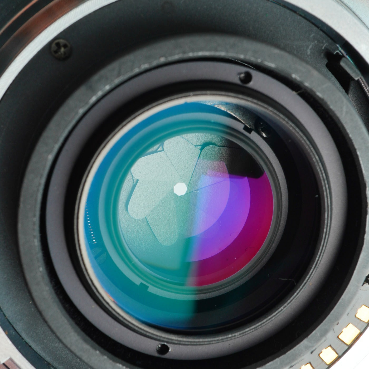 MINOLTA AF Macro 50mm f/2.8 マクロレンズ