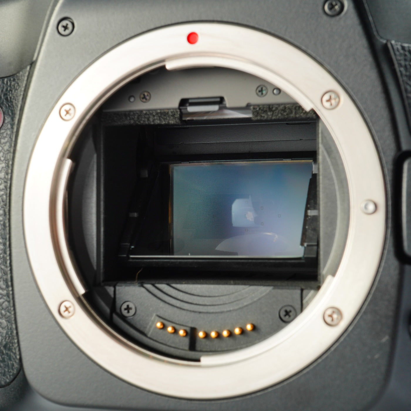 Canon EOS 5D + EF 35-75mm F/3.5-4.5 + CF 2GB デジタル一眼レフカメラ