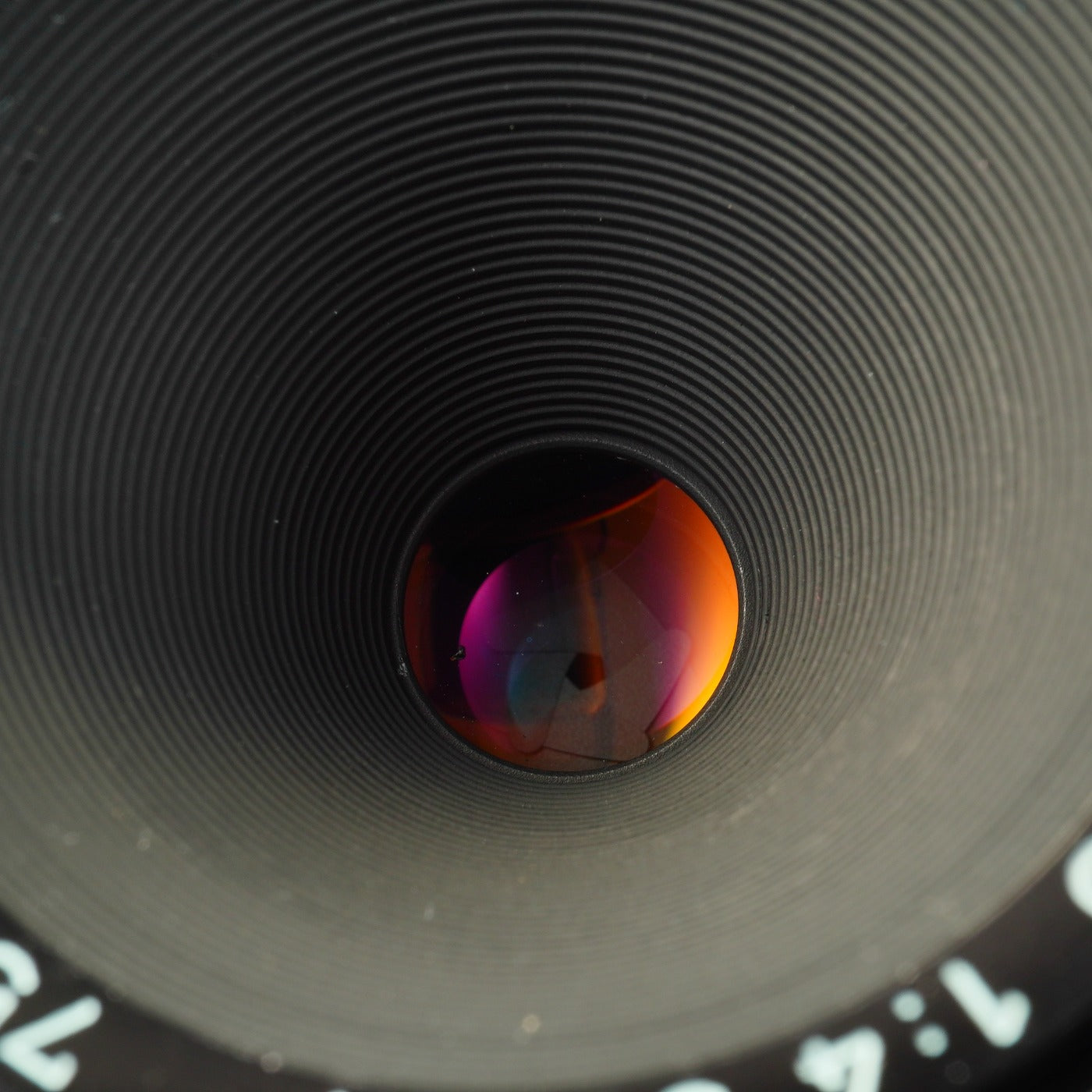 SMC PENTAX M 50mm F/4 MACRO (Pentax K用) マクロレンズ